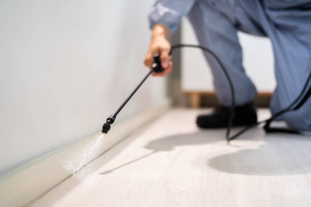 Certified termite inspector examining foundation in Pleasant Hills