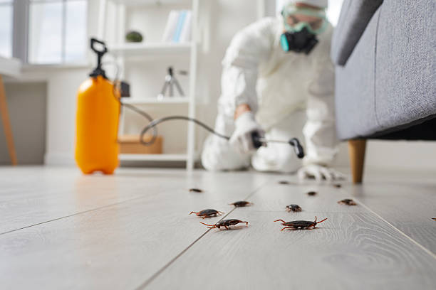 Commercial Kitchen Cockroach Control in Pleasant Hills